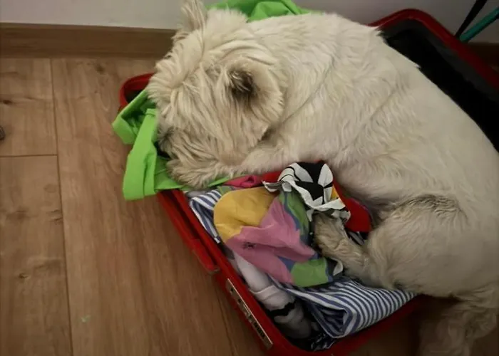 Mano Hébergement de vacances Siófok