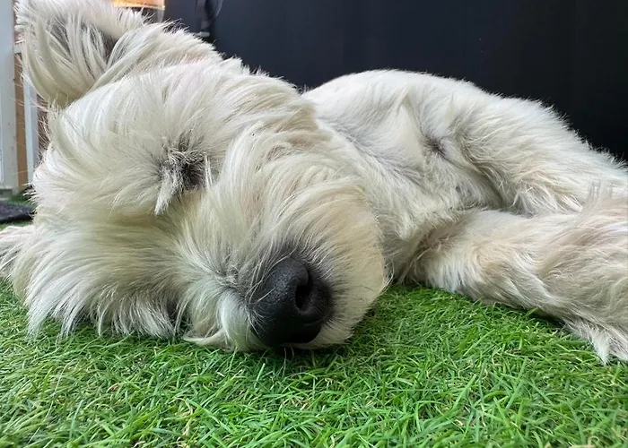 Mano Ferienhaus Siófok